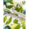 green leaves na zips