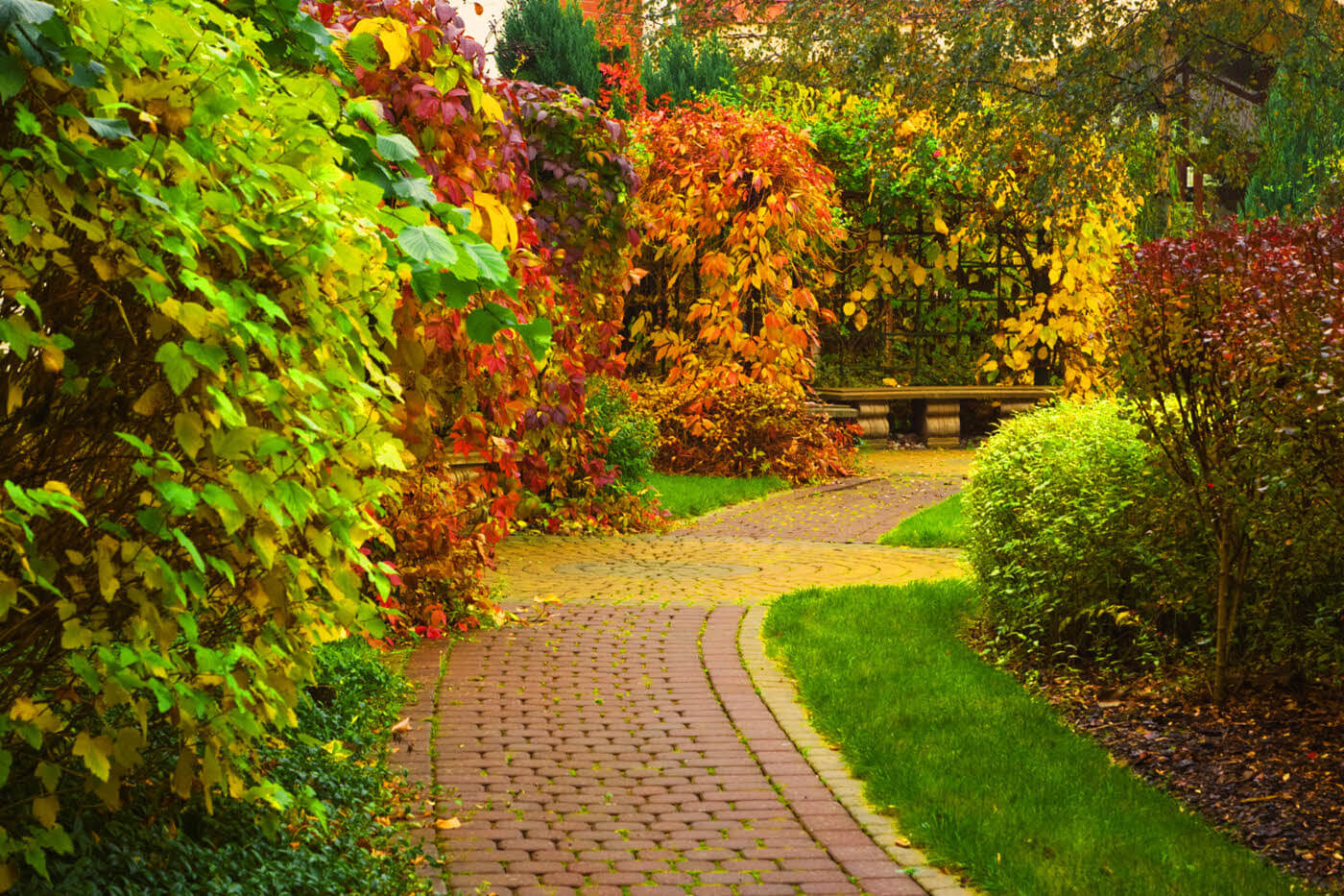 Jesenná starostlivosť o záhradu: Tipy a úlohy, ktoré sú dôležité.