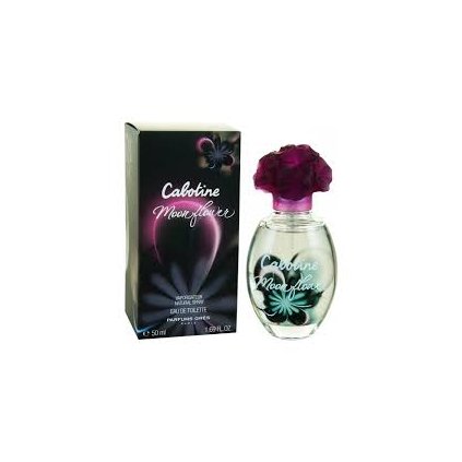 dc27f9a145caa6e5d9ba702c357dc412