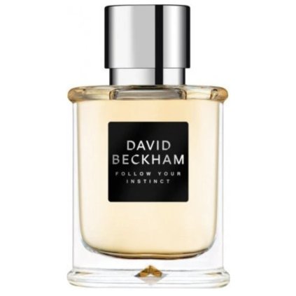 Screenshot 20260131 172555