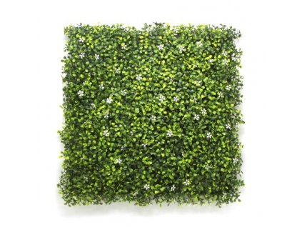 Bella vertikálna zelená stena 50x50cm zelená