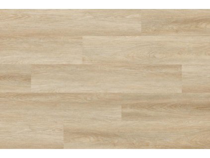 CW 179 Vinyl flooring Arbiton WOODRIC ROCKFORD OAK 01