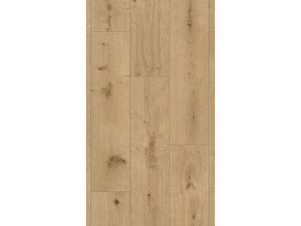 R128 Ascot 1210x295 flatshot