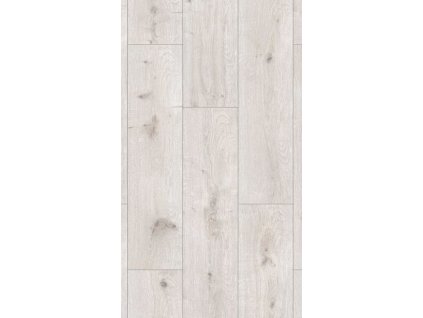 R129 White Poppy 1210x295 flatshot