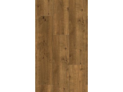 R149 Brown Marten 1210x295 4V pion