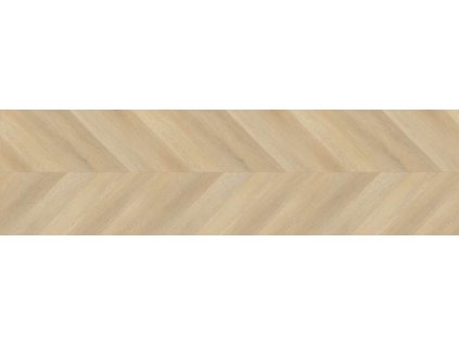estrella aquatus SPC 01