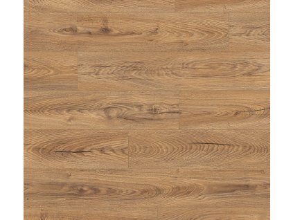 atlantic 10 inca carpenter oak