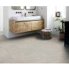 86406 JPG 72 dpi Bathroom Bloom Uni Clear 1599 Room scene