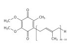 Koenzým Q10 