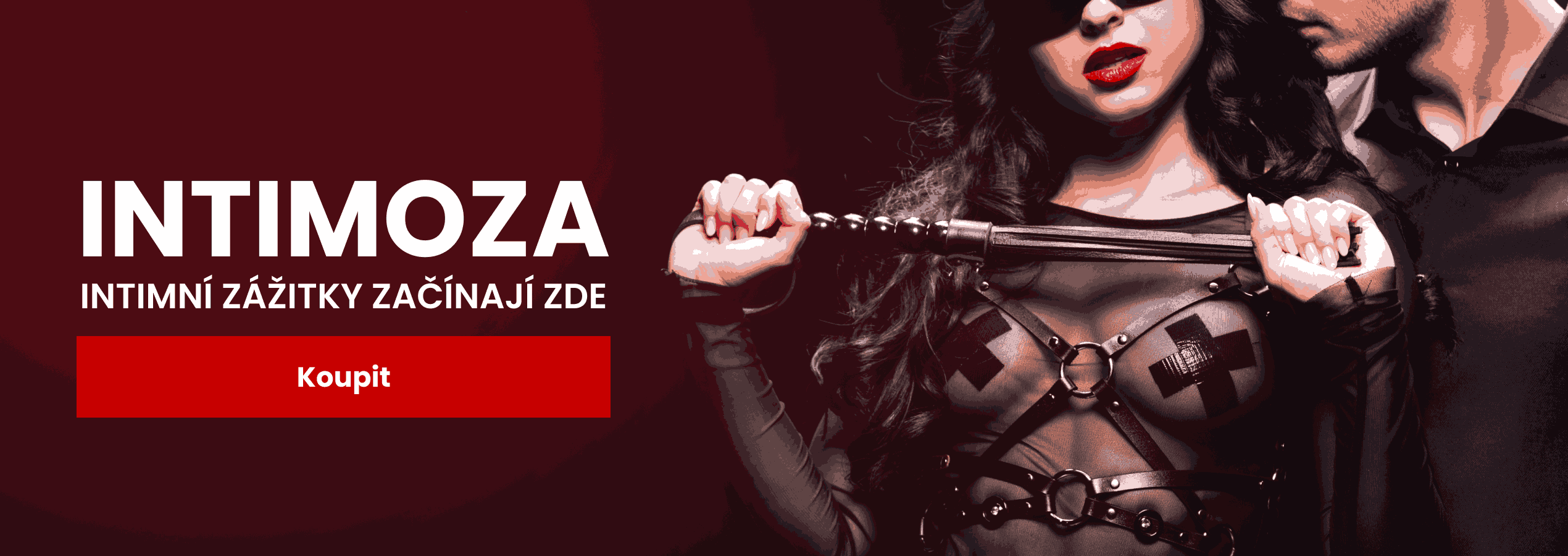 Vášeň a kontrola – pro páry objevující BDSM