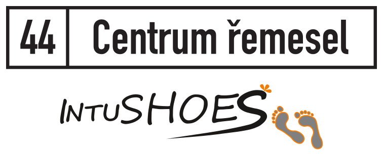 Intushoes