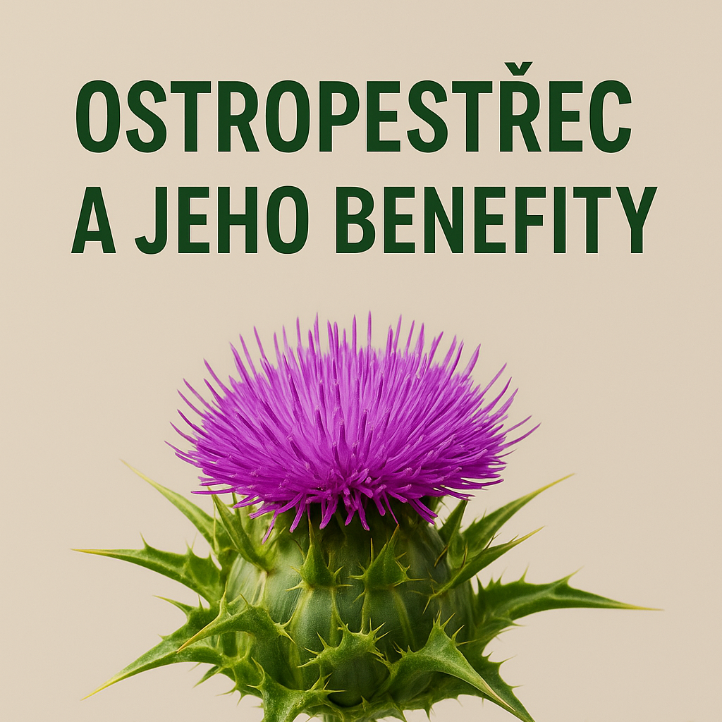 Ostropestřec a jeho benefity