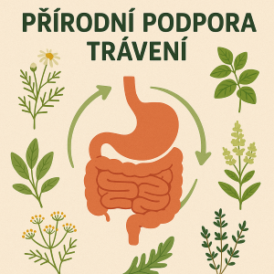 Přírodní podpora trávení: Které byliny pomáhají?