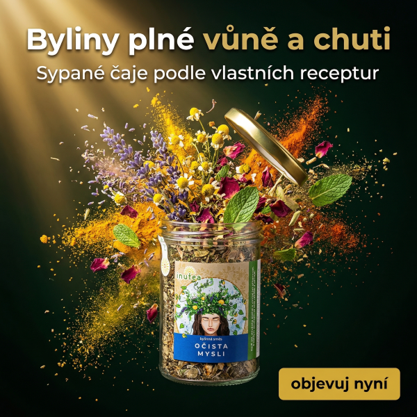 Bylinné čaje a směsi, bylinky, koření