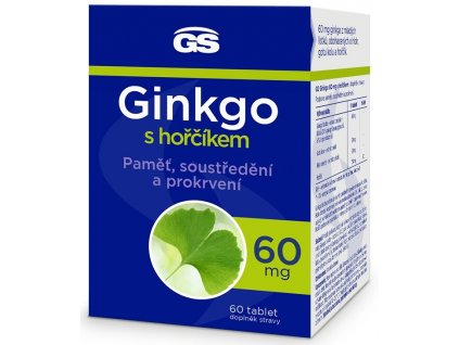 GS Ginkgo s hořčíkem tbl 60x60mg