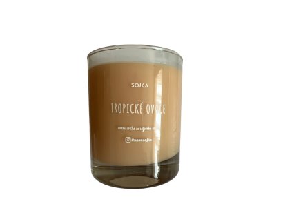 Sojka tropické ovoce 160g