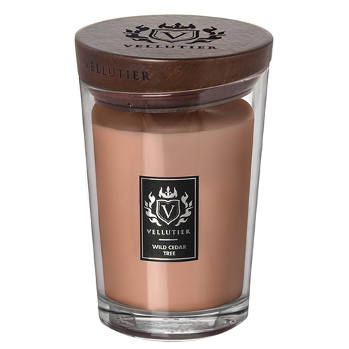 Levně Vellutier vonná svíčka Divoký cedr 515 g