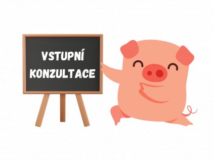 vstupni