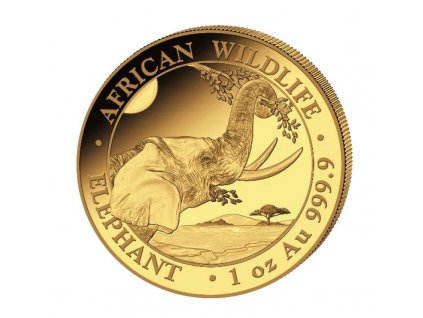 2022 somalia 1 oz gold elephant coin bu 237178 slab
