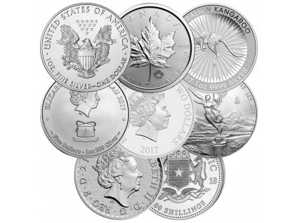 Random 1 oz Silver Coin