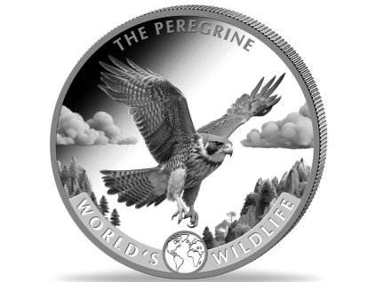 pol pm Congo Worlds Wildlife Peregrine Falcon 1 uncja Srebra 2024 10321 2