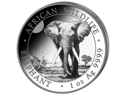 pol pm African Wildlife Slon Somalijski 1 uncja Srebra 2025 10667 2