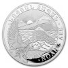 Stříbrná mince Noemova Archa 1/2 oz
