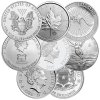 Random 1 oz Silver Coin