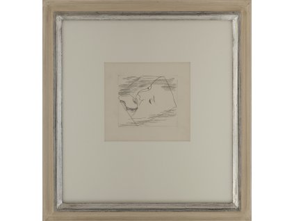 toyen romain rolland jan krystof I 1 FP