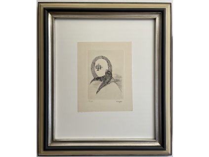 toyen kralovna a tetrev FP