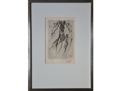 frantisek kupka bez nazvu FP