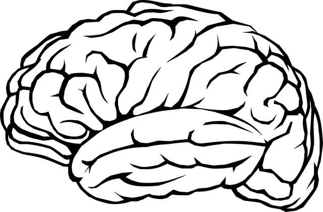 brain-2789698_640