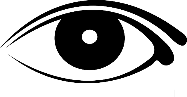 eye-309166_640