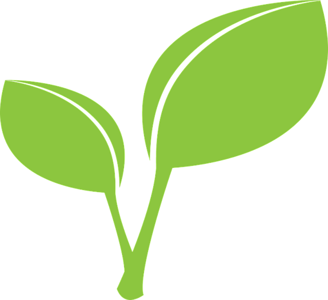 green-1299703_640