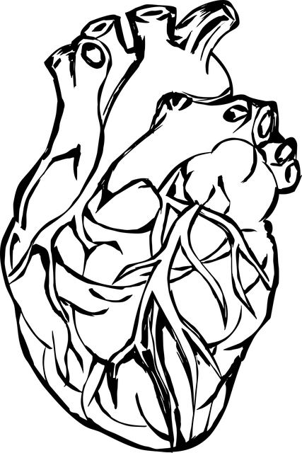 heart-7551952_640
