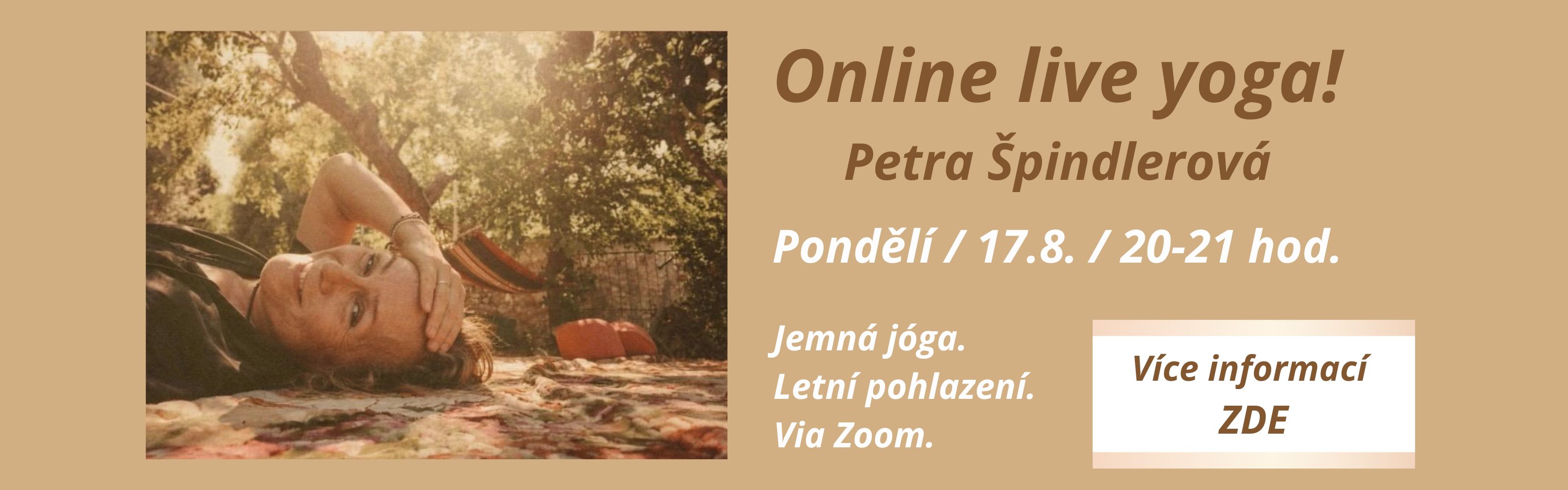 Online lekce jógy