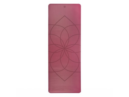 lotus 1