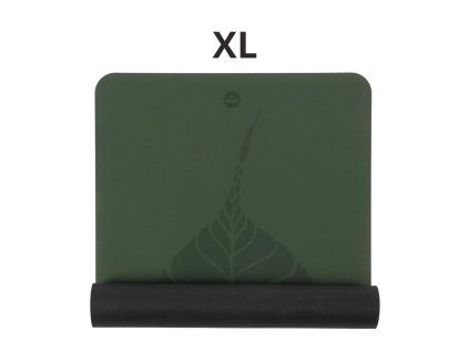 XL 4