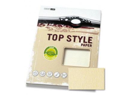 TOP STYLE PAPER TRADITION
