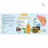 Kombucha 10x 400 ml obal
