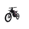 PRO BR 3