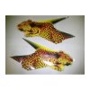 Polep přední pro čtyřkolky Leopard 150/250cc (Strana Pravá)