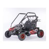 Elektro buggy Sunway DUNE 1000W 60V 20Ah (Barva Černo-modrá)