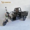 Leramotors Cargo G1 1000W COC Zelená