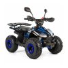 Čtyřkolka - ATV MUDDY 110cc XTR Automatic (Barva Černo-zelená)