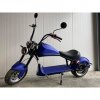 Lera Scooters C8 2000W modrá (Barva Modrá)