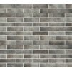 Plytka elewacyjna Loft Brick pepper 245x65x8 mm (2099)