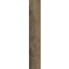 Keramická dlažba Cerrad Guardian Wood Brown mat 120,2x19,3 cm