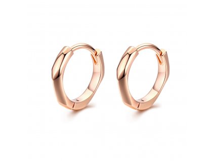 stribrne-nausnice-kruhy-geometric-line-luxury-male-ag-925-1000
