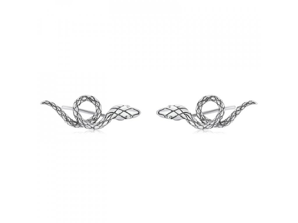 strieborne-nausnice-had-vintage-ag-925-1000